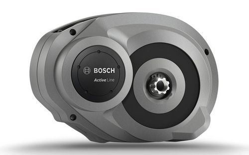 Bosch Motor Active Gen.2 mit Freilauf 250 Watt (nur im Tausch) platinum
